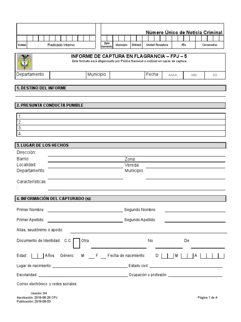 FPJ 5 Captura En Flagrancia V4 | PDF