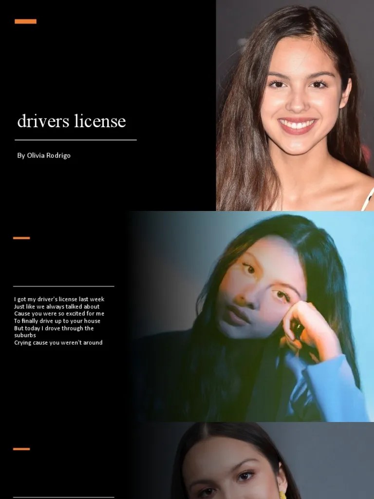 Drivers License | PDF