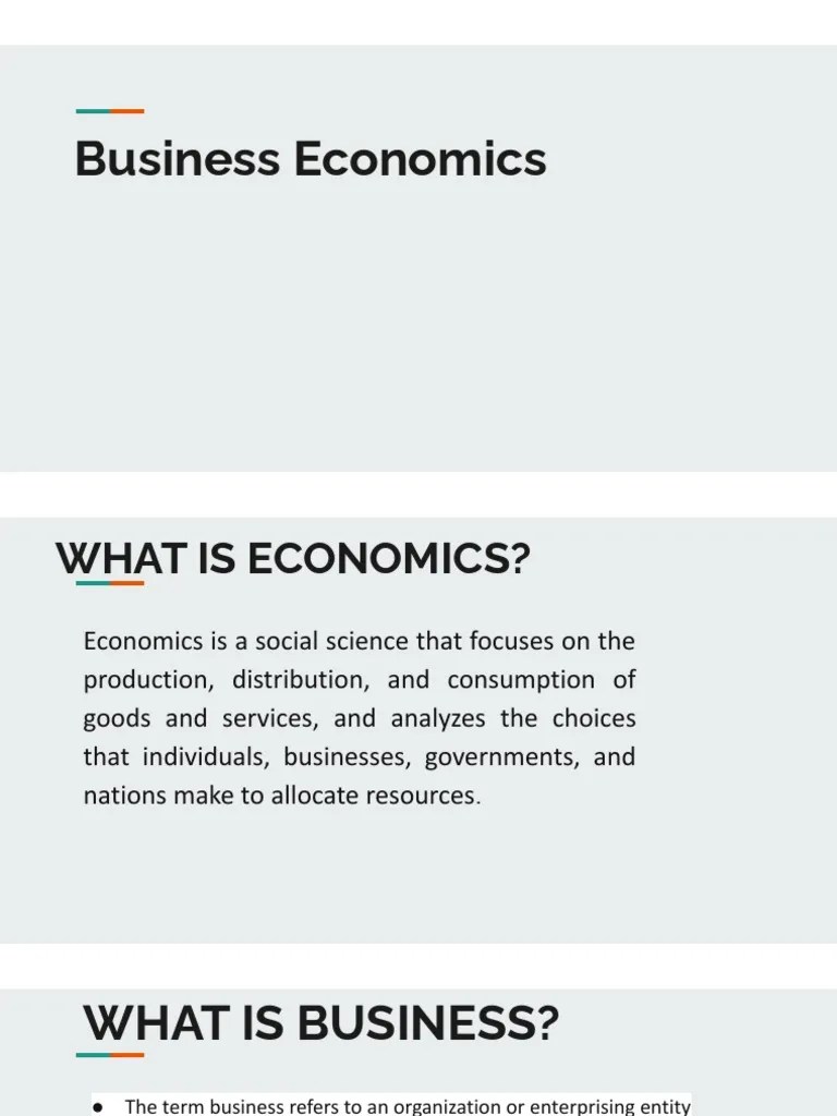 Business Economics Unit 1 | PDF