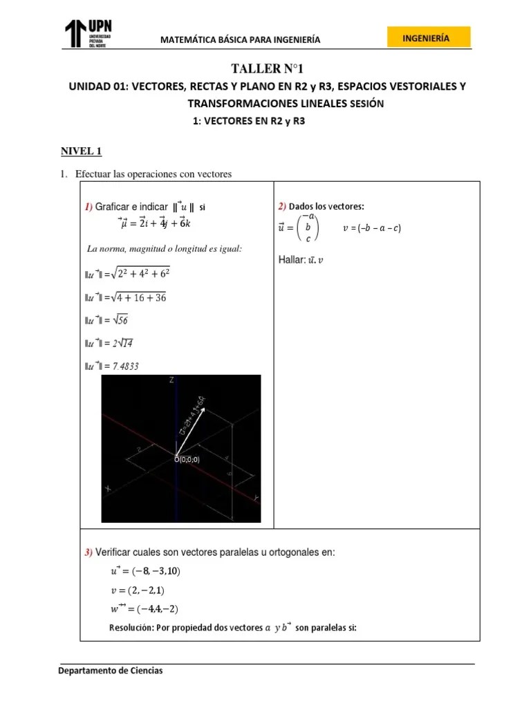 Taller De Clase Semana 01 PDF | PDF | Vector Euclidiano | Norma (Matemáticas)