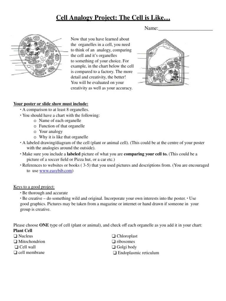 Cell Analogy Project | PDF | Cell (Biology) | Organelle
