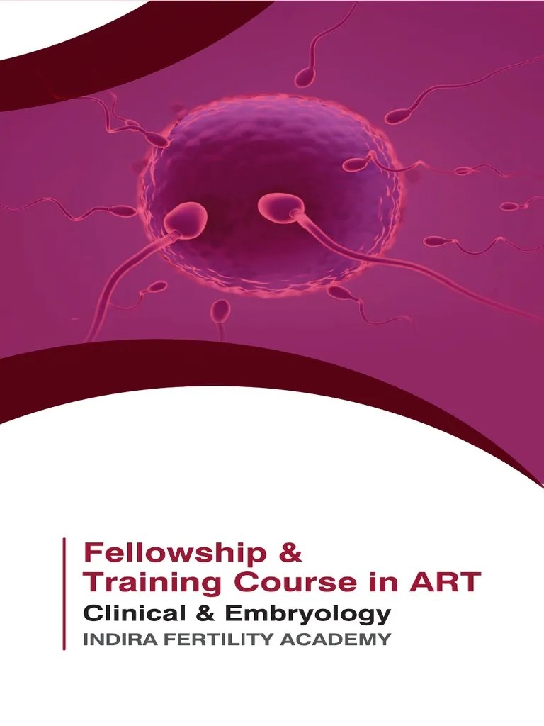 IFA Brochure New | PDF