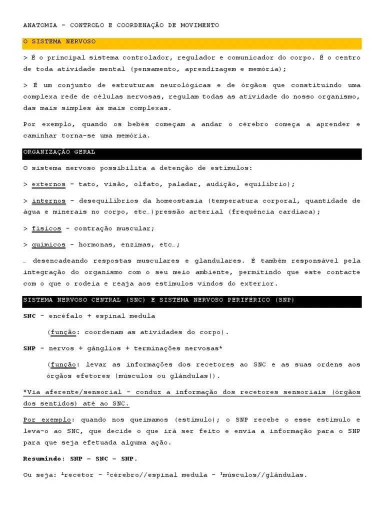 Sistema Nervoso | PDF