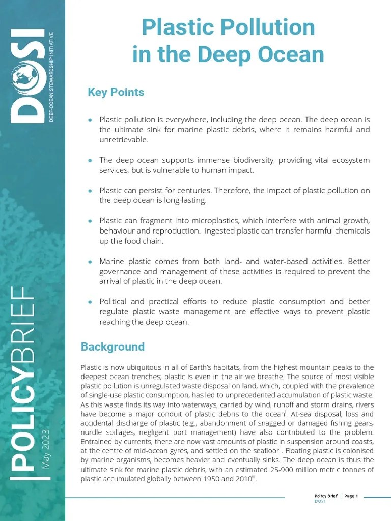 Deep Ocean Plastic 2023 English | PDF | Oceans | Pollution