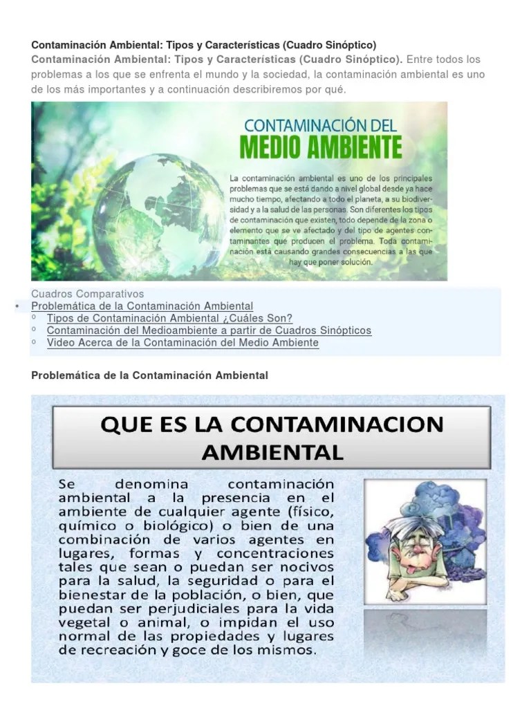 Contaminación Ambiental | PDF | Contaminación | Entorno Natural