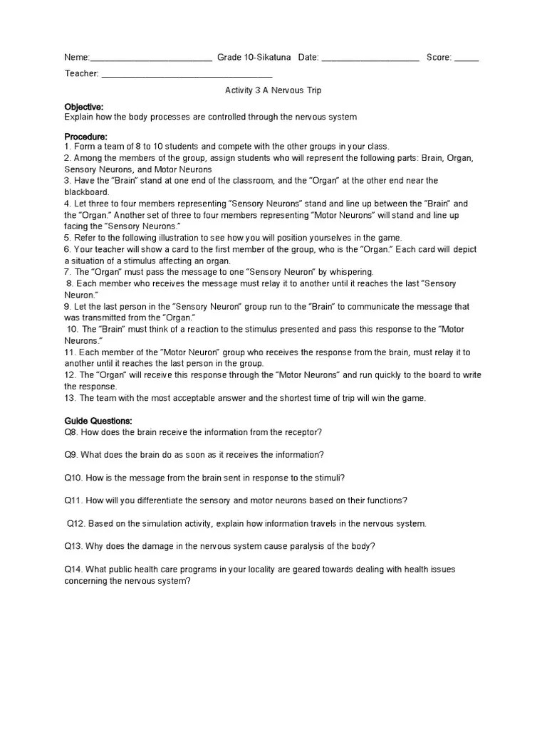 A Nervous Trip | PDF | Neuron | Stimulus (Physiology)