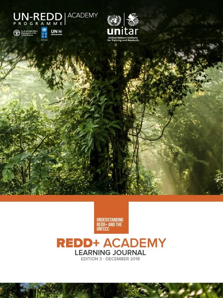 Phase II Topic 2 Understanding REDD+ And The UNFCCC | PDF | Reducing Emissions From ...