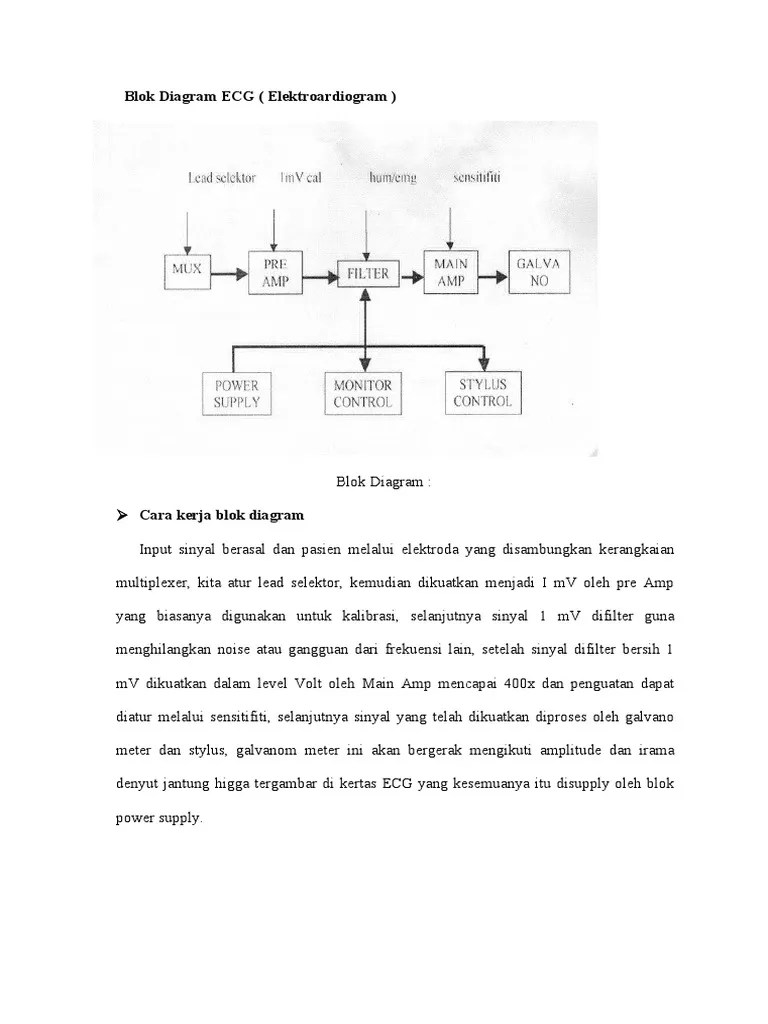 Blok Diagram ECG | PDF