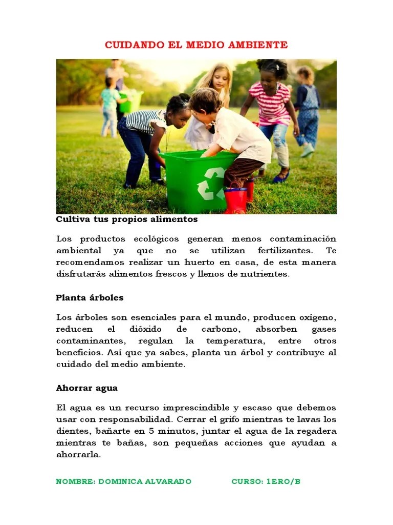 Cultiva Tus Propios Alimentos | PDF