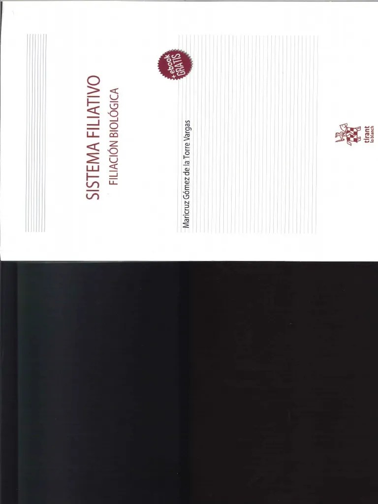 Principios Del Derecho De Familia En La Filiaci N | PDF