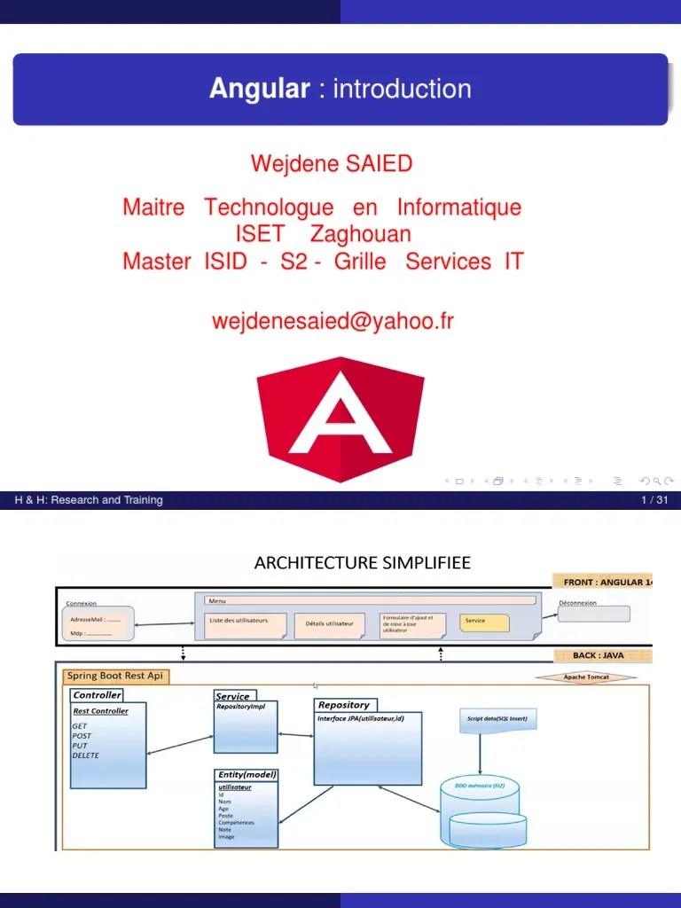 Spring Angular VF | PDF