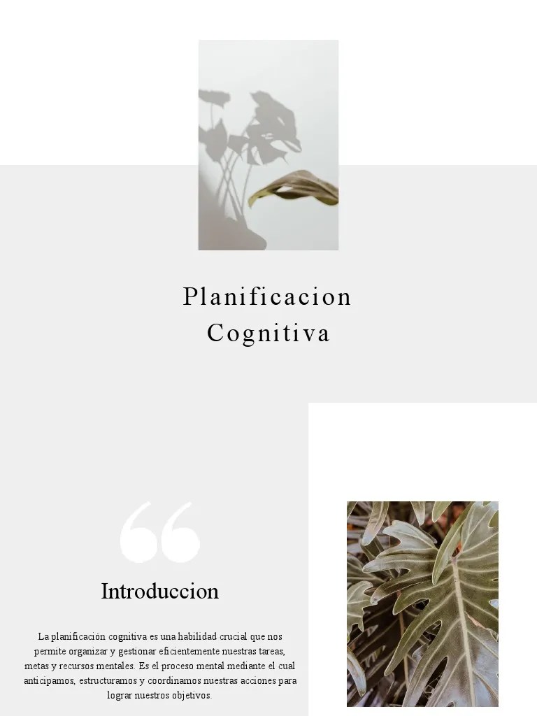 Planificacion Cognitiva | PDF