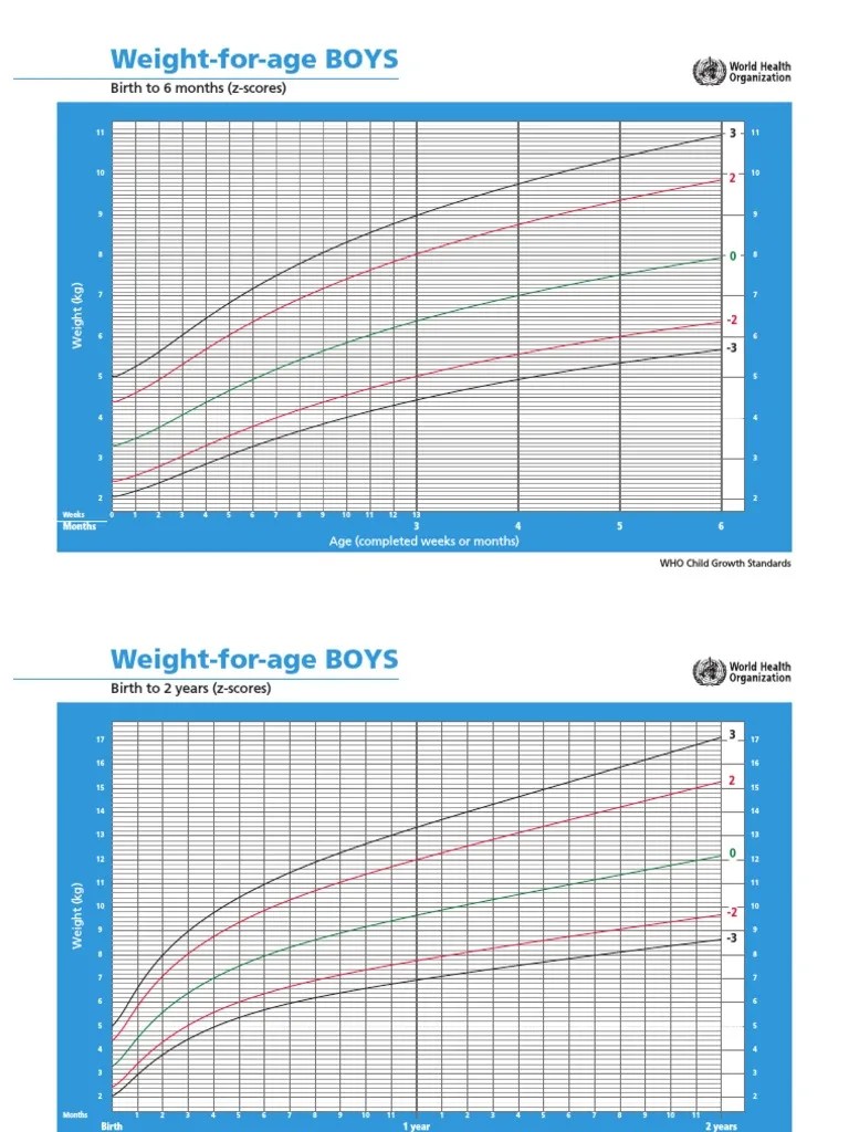 Boys Weight For Age | PDF