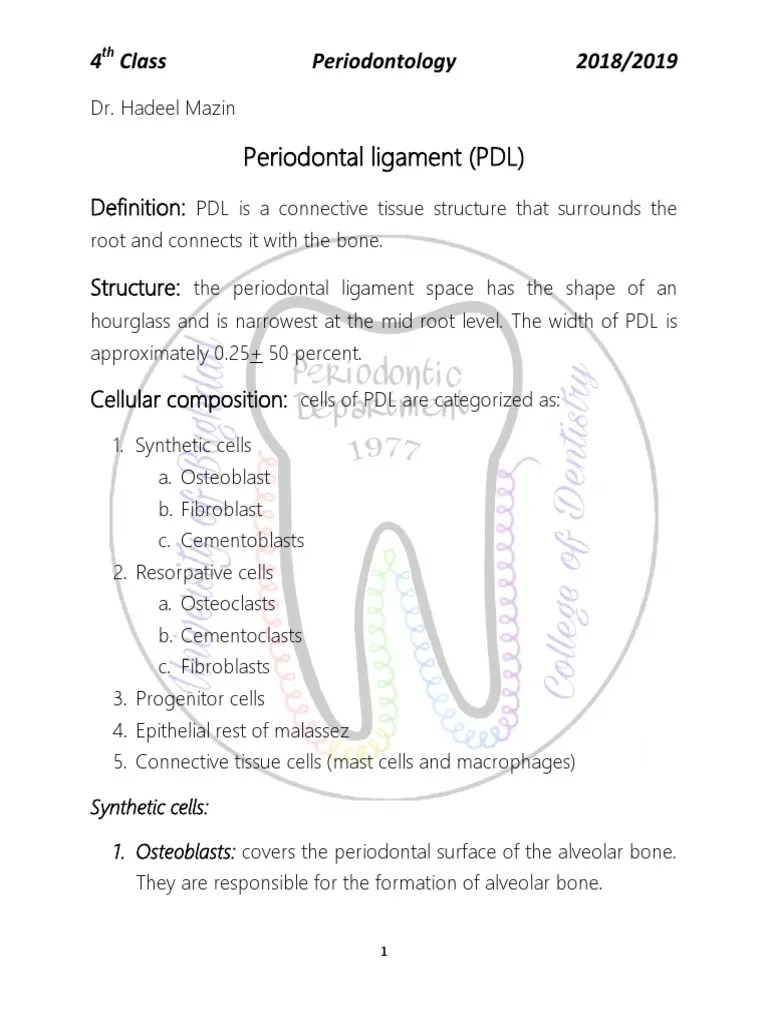 Periodontal Ligament | PDF