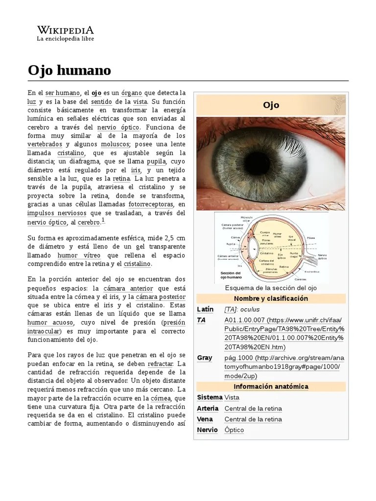 Ojo Humano | PDF | Ojo Humano | Ojo