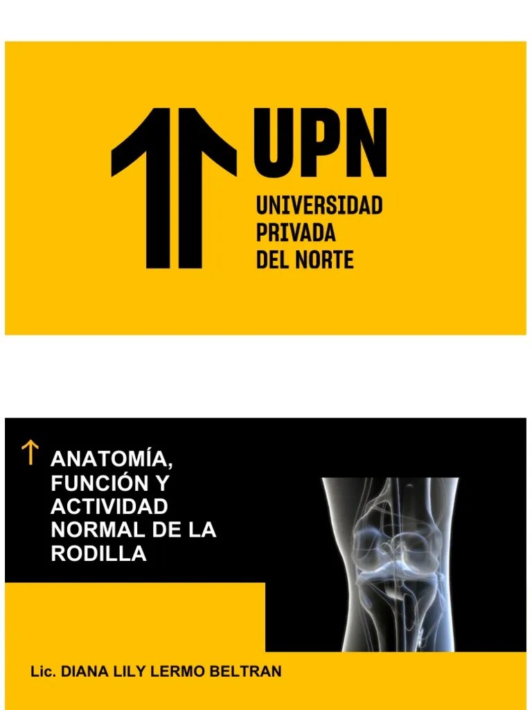 Rodilla | PDF | Rodilla | Anatomía Del Miembro Inferior