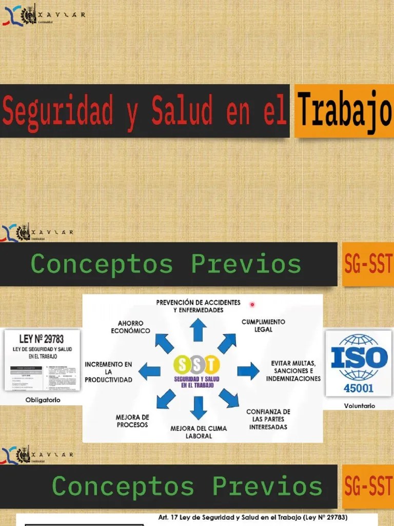 Sistema De Gestión De Seguridad Y Salud En El Trabajo - Básico | PDF