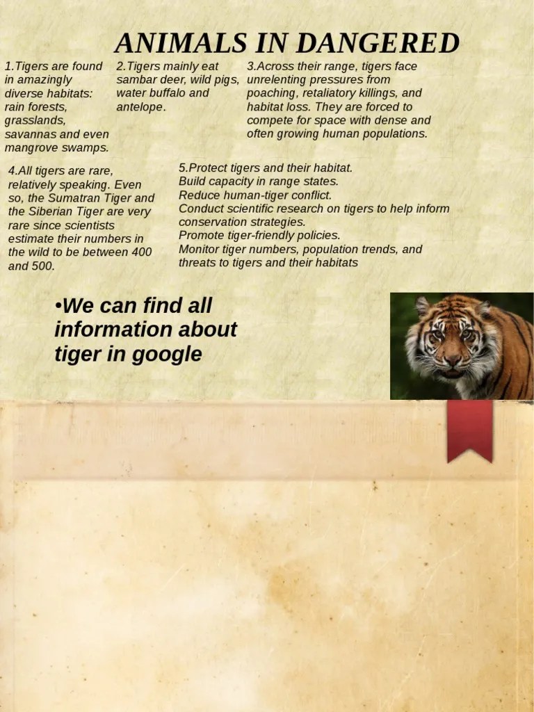 Tiger | PDF
