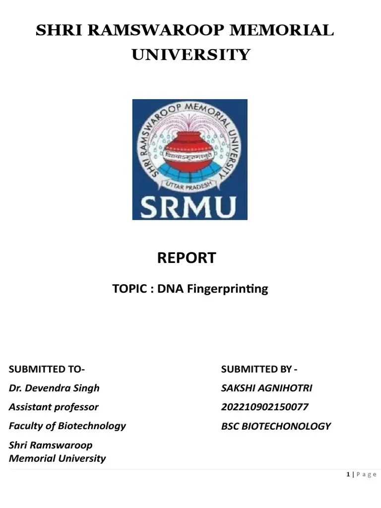 Dna Report | PDF | Gel Electrophoresis | Microsatellite