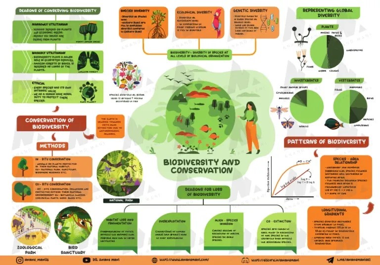 B15 Biodiversity And Conservation | PDF | Biodiversity | Conservation Biology