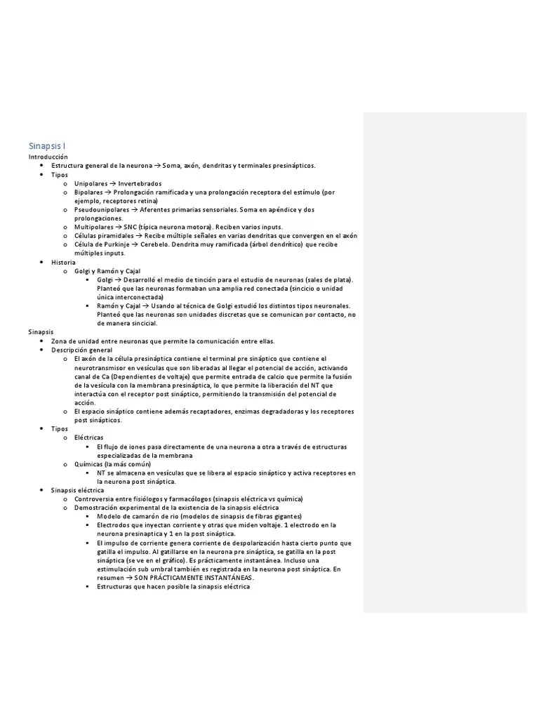 Sinapsis I | PDF | Sinapsis | Potencial De Acción