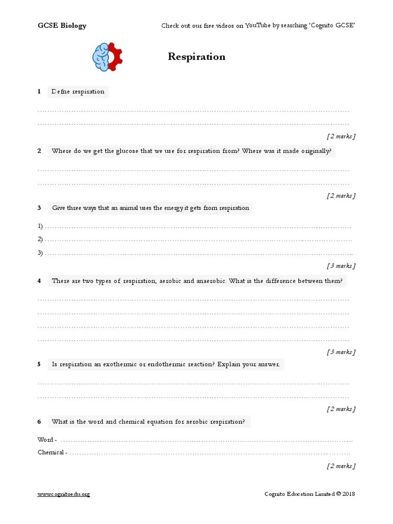 GCSE Biology - Respiration - Worksheet | PDF | Cellular Respiration ...