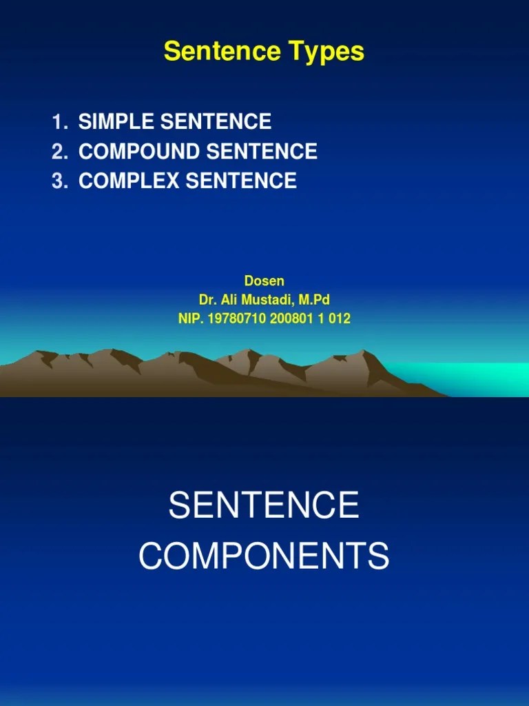 7 Sentence Types | PDF | Verb | Sentence (Linguistics)