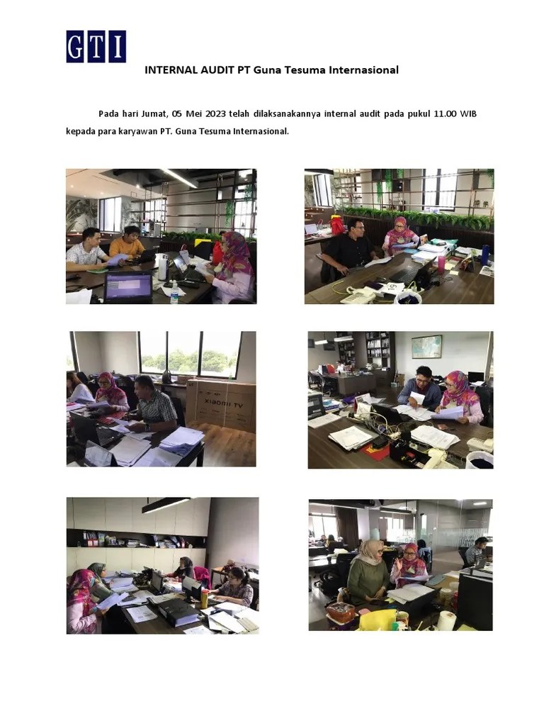 Internal Audit 2023 Pdf