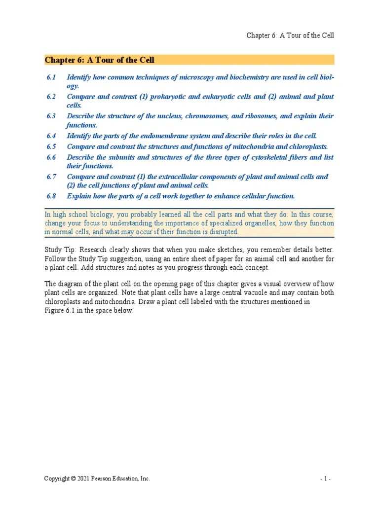 CH 6 Reading Guide | PDF