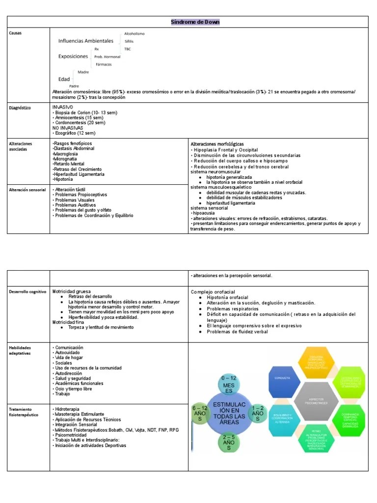 Sindrome De Down | PDF | Síndrome De Down | Enfermedades Y Trastornos