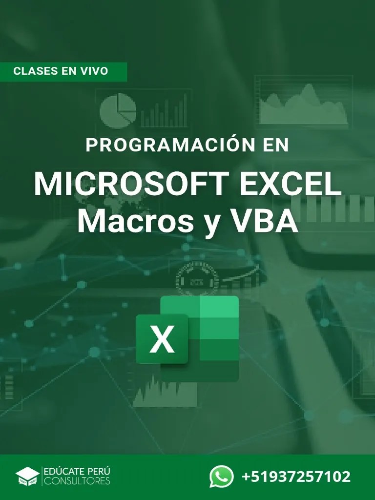 MACROS | PDF | Macro (informática) | Microsoft Excel