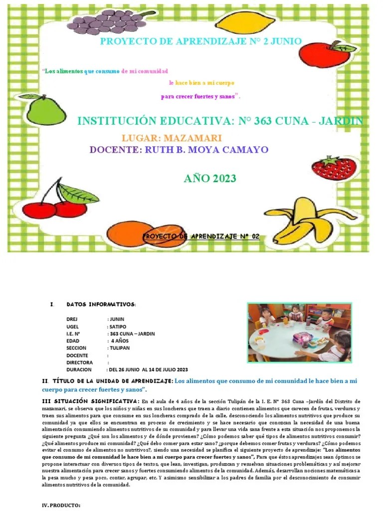 Proyecto De Aprendizaje 2 | PDF | Residuos | Cognición