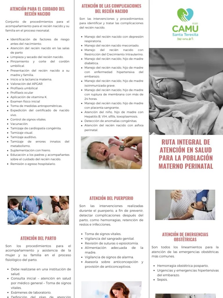 Ruta Integral De Atención En Salud Para La Población Materno Perinatal ...