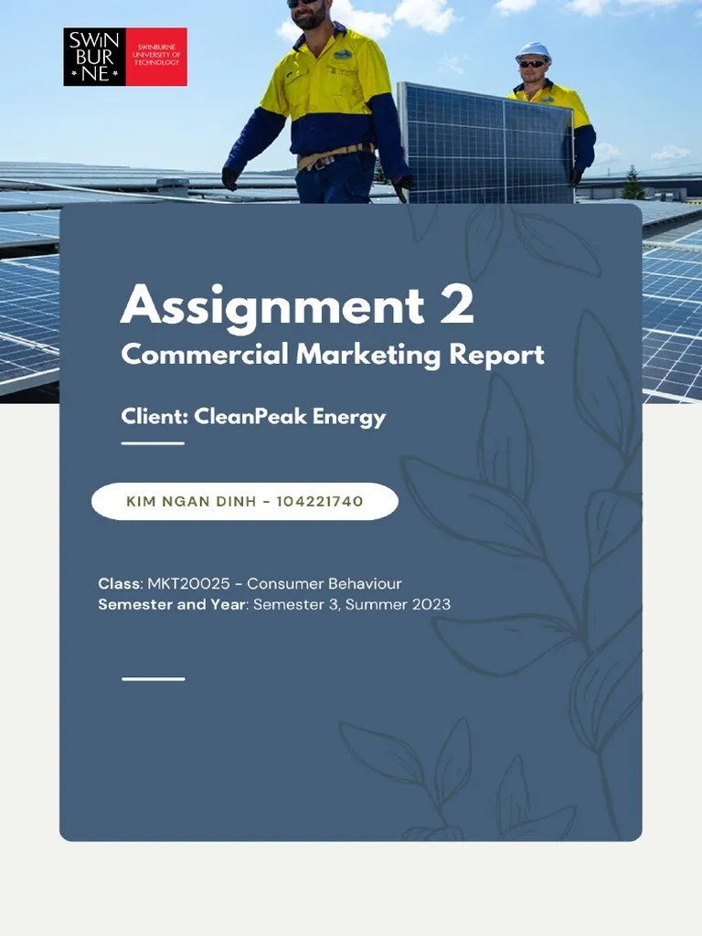 Assignment 2 MKT20025 - Kim Ngan | PDF