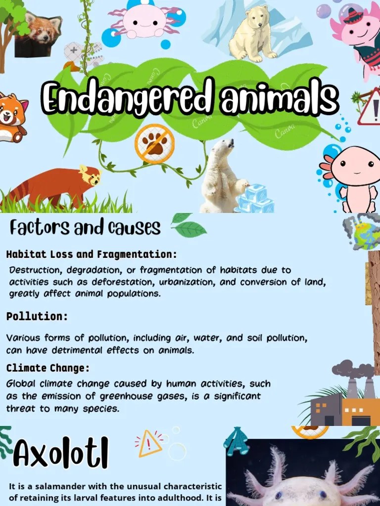 Endangered Animals | PDF