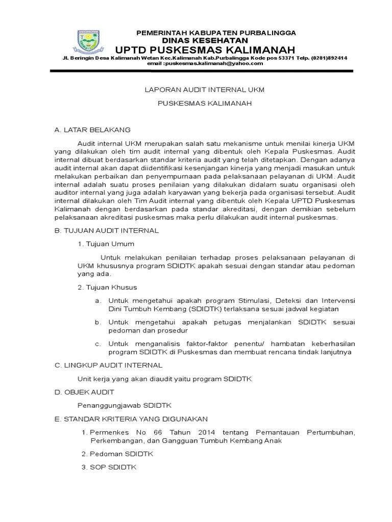 Laporan Audit Internal | PDF