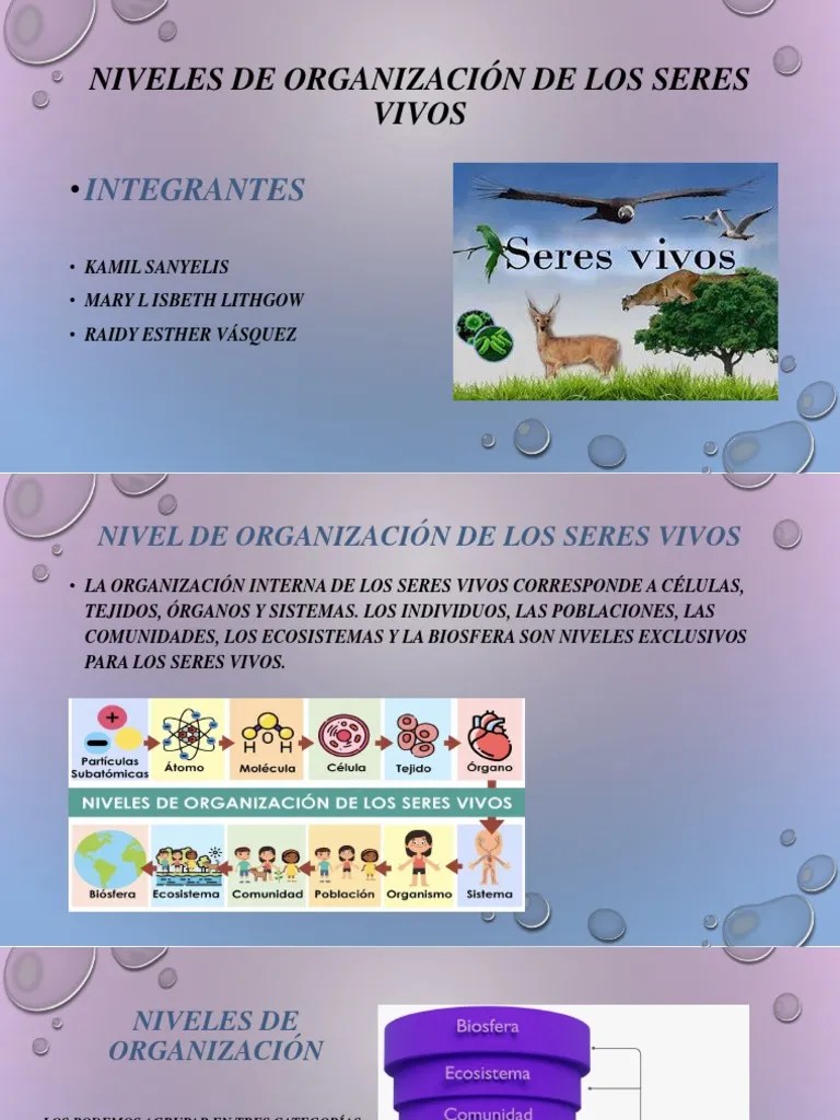 Niveles De Organización De Los Seres Vivos | PDF | Biomoléculas | Organismos