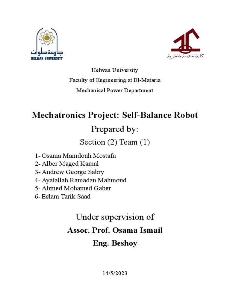 Self Balance Robot | Download Free PDF | Rechargeable Battery ...