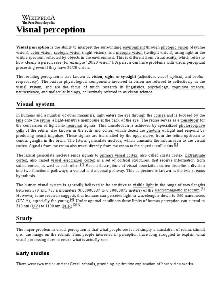 Visual Perception | PDF | Visual Perception | Visual System