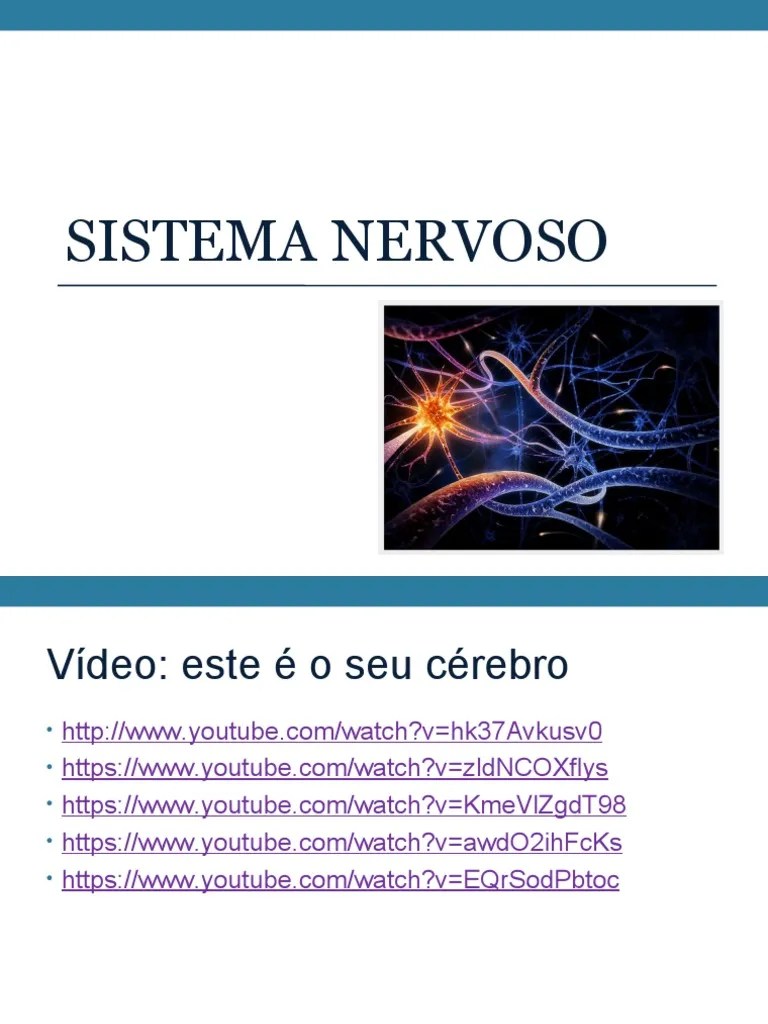 Sistema Nervoso | PDF | Cérebro | Nervo