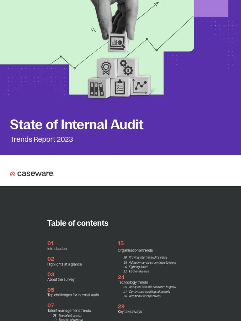 2023 State Of Internal Audit Trends Report | PDF