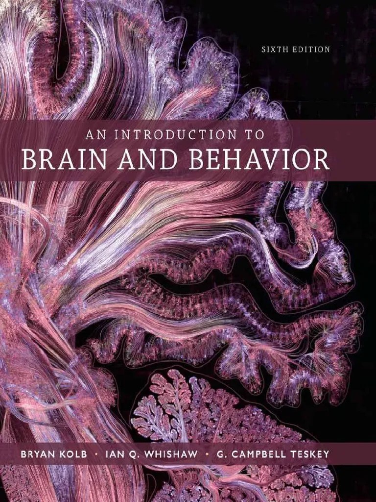 An Introduction To Brain And Behavior | PDF | Nervous System | Brain