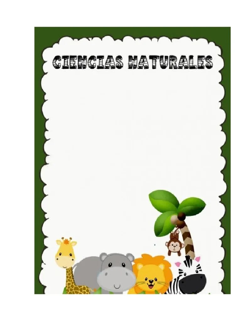 Caratula De Ciencias 2023 | PDF