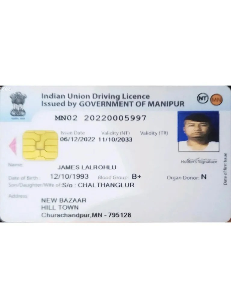 Driving Licence | PDF