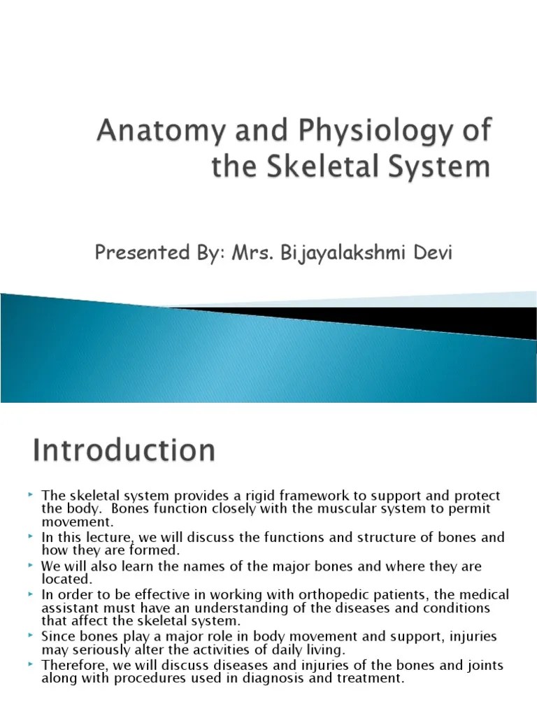 Anatomy And Physiology Of The Skeletal System | PDF | Bone | Skull
