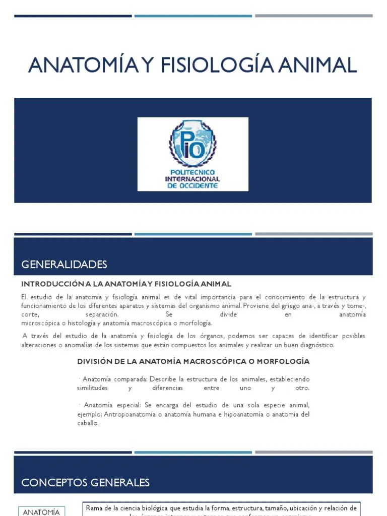 Anatomia Y Fisiologia Animal | PDF