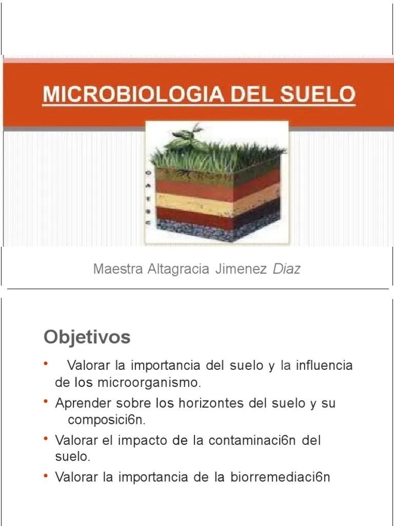 Microbiologia Del Suelo Para Estudiantes De Microbiologia Ambiental ...