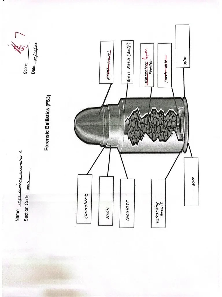 Ballistics Results | PDF