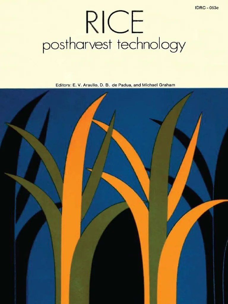 Rice Postharvest TechnologyIDL-528 | PDF
