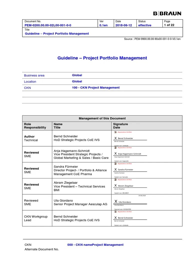 Guideline - Project Portfolio Management | PDF